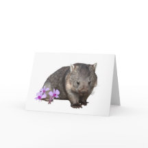 Wombat und Cooktown Orchid