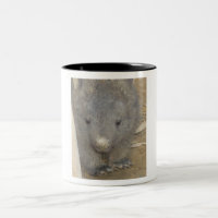 Wombat