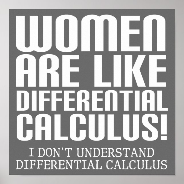 Women Differenzial Calculus Funny Poster Sign (Vorne)