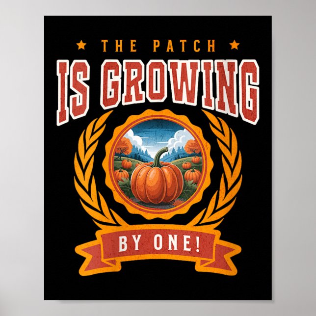 Womens Pumpkin Pregnancy Annnouncement Baby Reveal Poster (Vorne)