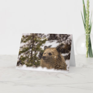 "Wonder" Holiday Card Karte