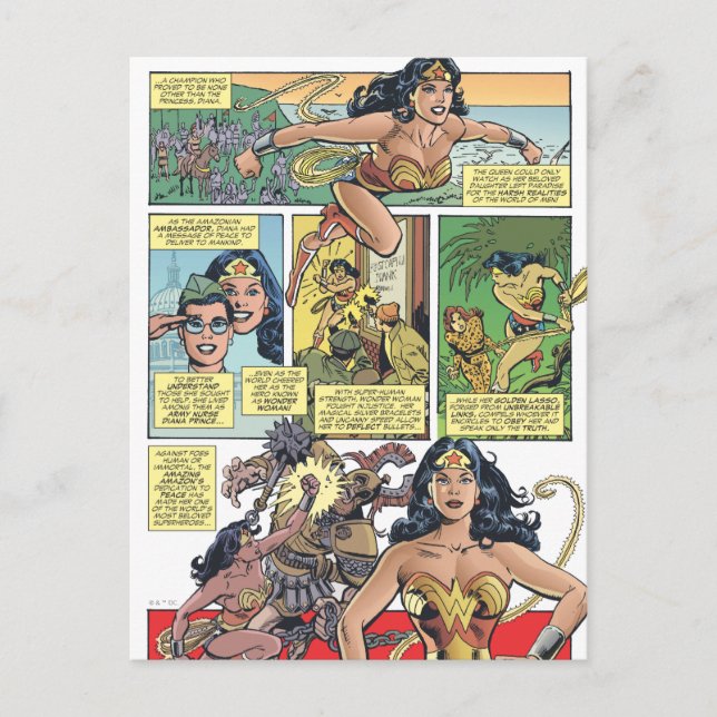 Wonder Woman Princess Diana Postkarte (Vorderseite)
