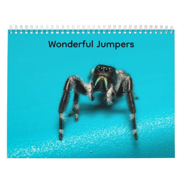 Wonderful Jumpers Kalender (Titelbild)