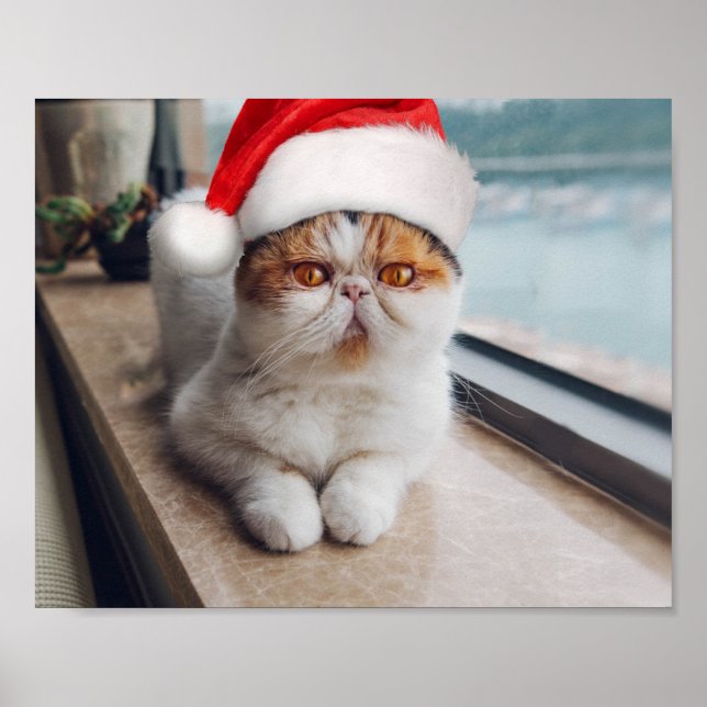 Wonderful persian cat with Santa Claus hat Poster (Vorne)