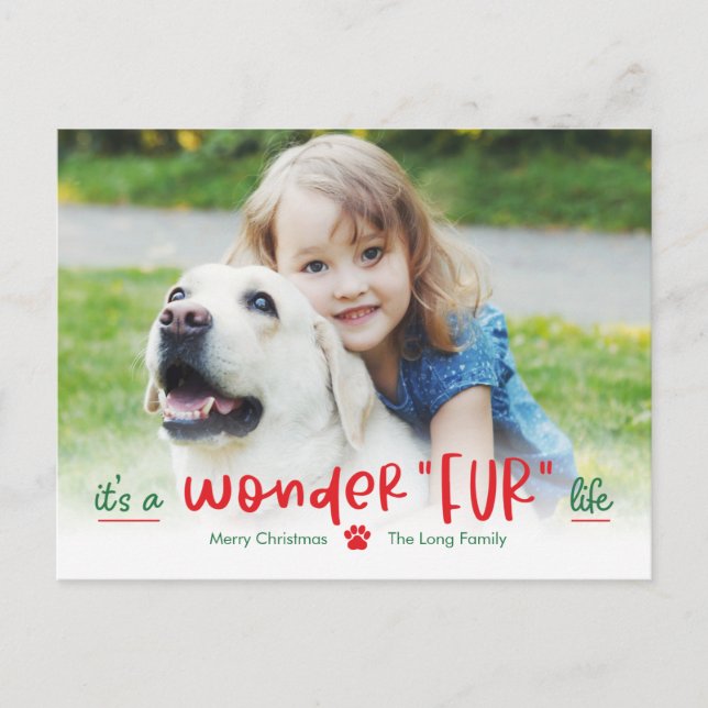 Wonderfur Life Pet Holiday Postkarte (Vorderseite)