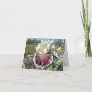 "WONDERS NIEMALS CEASE" Blank Iris Note Card Karte
