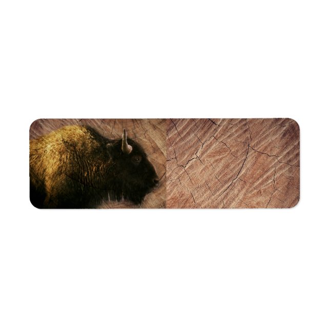Wood Bison Buffalo (Vorne)