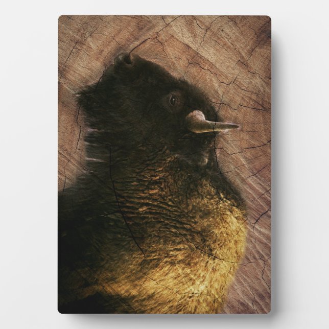 Wood Bison Buffalo Fotoplatte (Vorderseite)