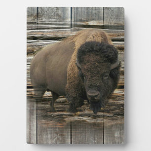 Wood Bison Fotoplatte