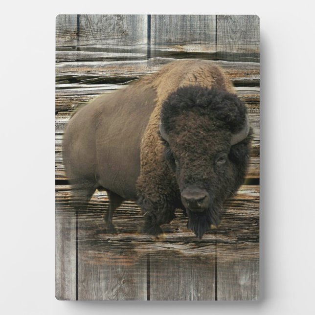Wood Bison Fotoplatte (Vorderseite)