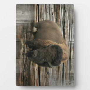 Wood Bison Fotoplatte