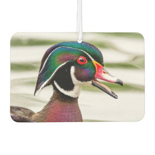 Wood Duck Autolufterfrischer