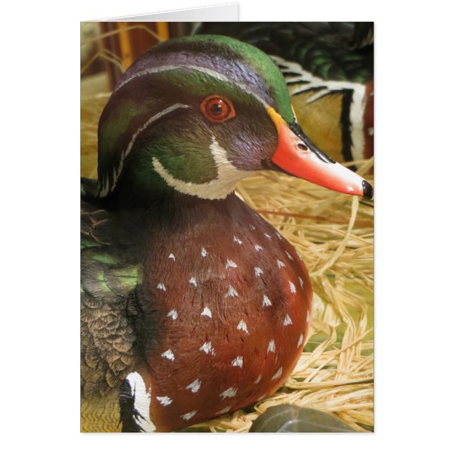 Wood Duck Decoy (Vorne)