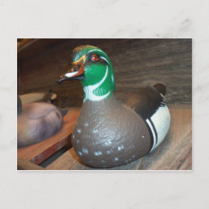 Wood Duck Decoy Postkarte