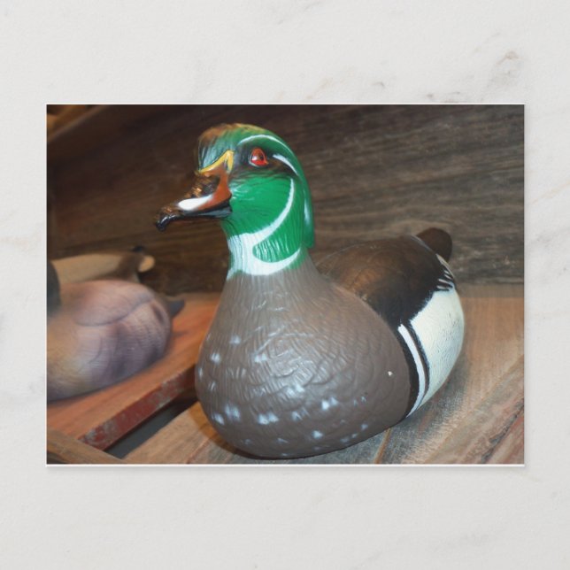 Wood Duck Decoy Postkarte (Vorderseite)