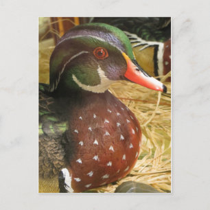 Wood Duck Decoy Postkarte