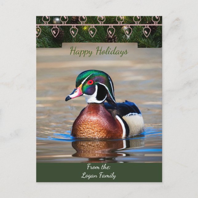Wood Duck Drake Christmas Card Feiertagspostkarte (Vorderseite)
