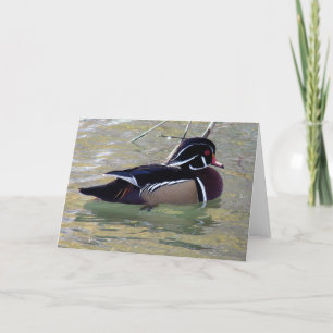 Wood Duck Drake Karte