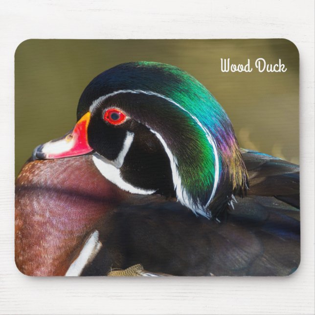 Wood Duck Mousepad (Vorne)