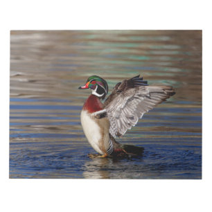 Wood Duck Notizblock