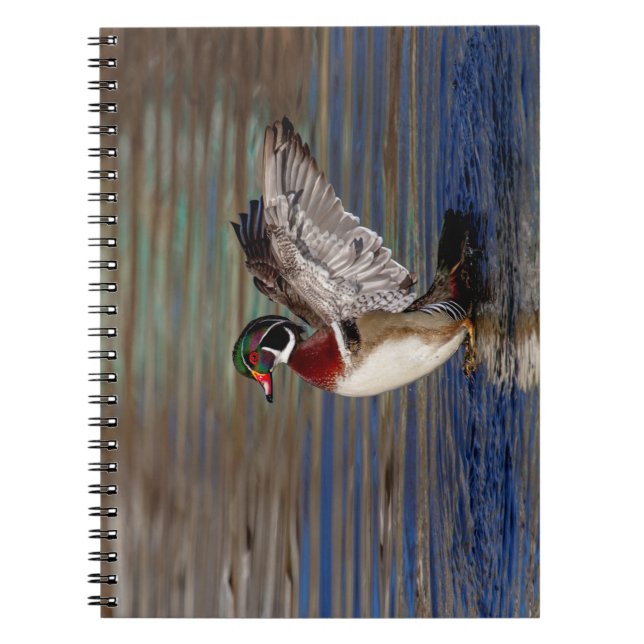 Wood Duck Notizblock (Vorderseite)