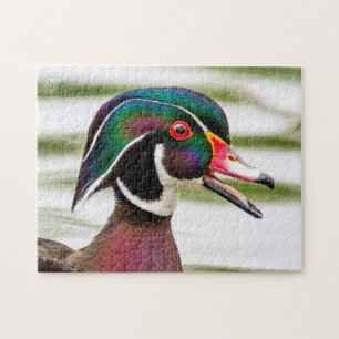 Wood Duck Puzzle