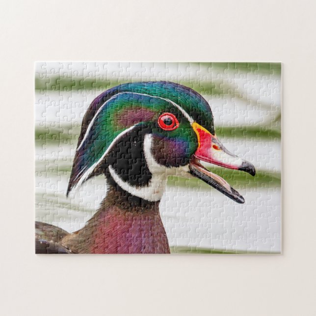 Wood Duck Puzzle (Horizontal)
