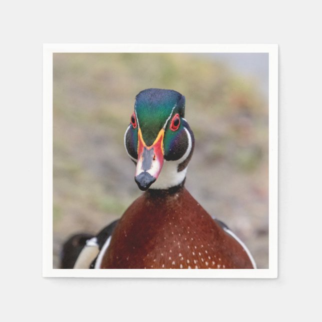 Wood Duck Serviette (Vorderseite)