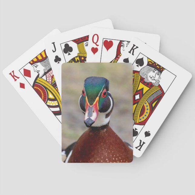 Wood Duck Spielkarten (Rückseite)