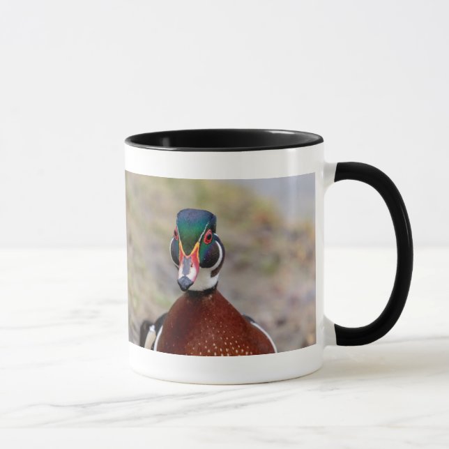Wood Duck Tasse (Rechts)