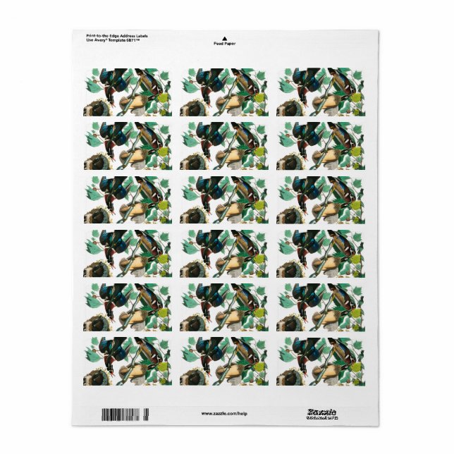 Wood Duck von John James Audubon Adressaufkleber (Vorne)