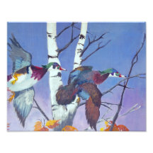 Wood Ducks Flying