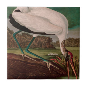 Wood Ibis Birds of America Audubon Print Fliese