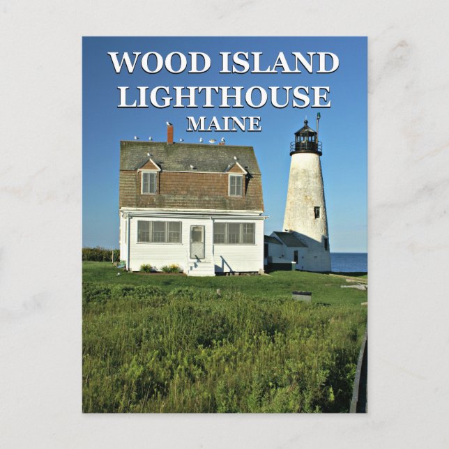 Wood Island Lighthouse, Maine Postcard Postkarte (Vorderseite)