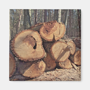 Wood Magnet
