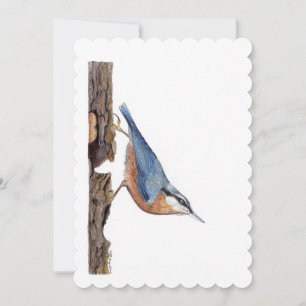 Wood Nuthatch Bird (Sitta Europaea) Einladung