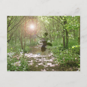 Wood Nymph Postkarte