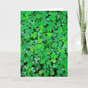 Wood Sorrel In Spring Karte