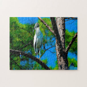 Wood Stork Florida Puzzle