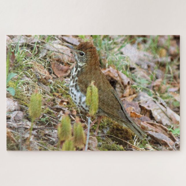 Wood Thrush Puzzle (Horizontal)