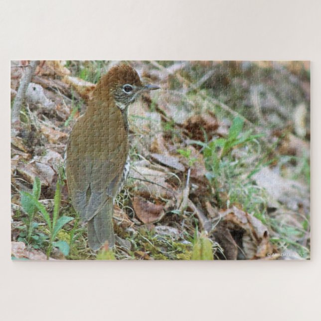 Wood Thrush Puzzle (Horizontal)