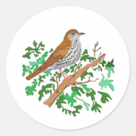 Wood Thrush Songbird, ein brauner Vogel mit Fessel Runder Aufkleber