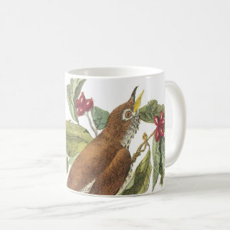Wood Thrush von Audubon Kaffeetasse