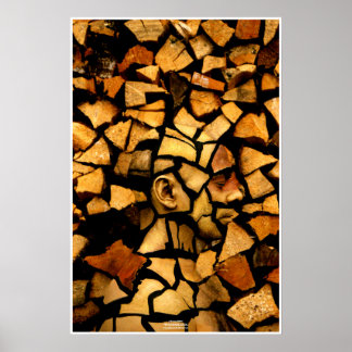 Woodblock von Johannes Stötter Poster