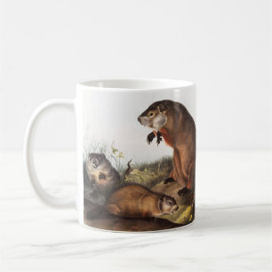 Woodchuck (Arctomys monax) Illustration Kaffeetasse
