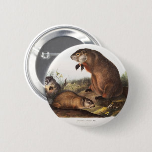 Woodchuck Camping Deko Gips Button
