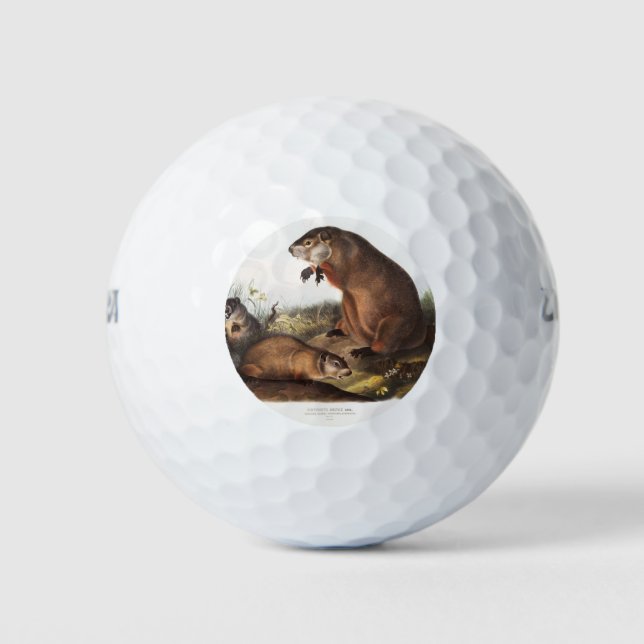 Woodchuck Camping Deko Gips Golfball (Vorderseite)