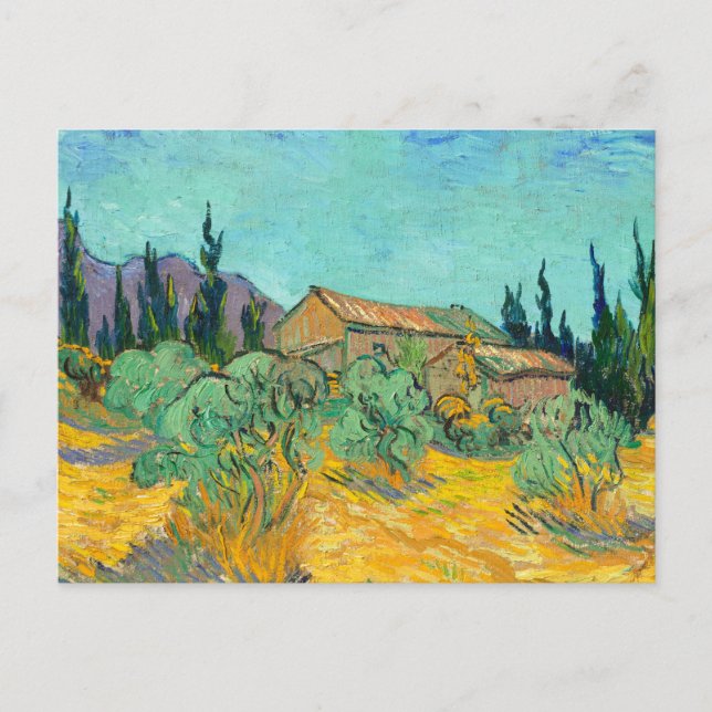 Wooden Cabins among the Olive Trees and Cypresses Postkarte (Vorderseite)