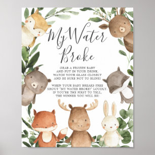 Woodland Animals Baby Dusche Mein Wasser Broke Sch Poster