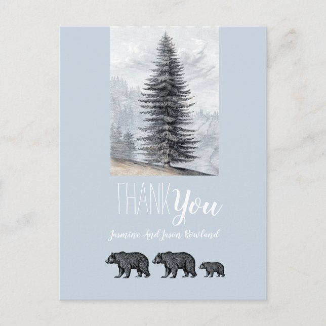 Woodland Bears Baby Dusche Danke Blue Gray Postkarte (Vorderseite)